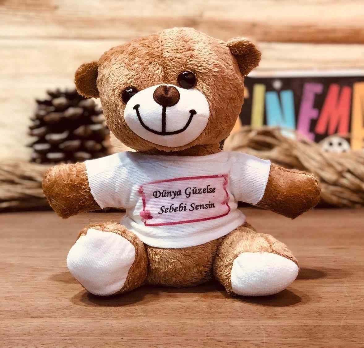 dunya guzelse sebebi sensin pelus ayicikli fotograf albumu hediye seti
