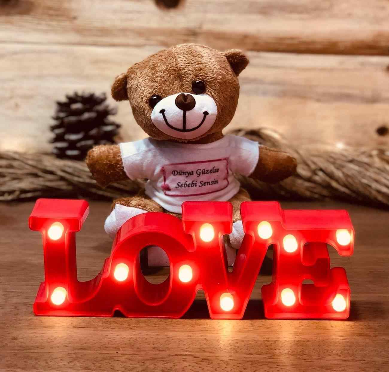 Dunya Guzelse Sebebi Sensin Romantik Gece Lambali Pelus Ayicik Sevgiliye Hediye Seti