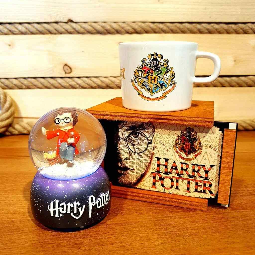 Harry Potter Renk Degistiren Isikli Kar Kuresi Ve Buyucu Kupasi