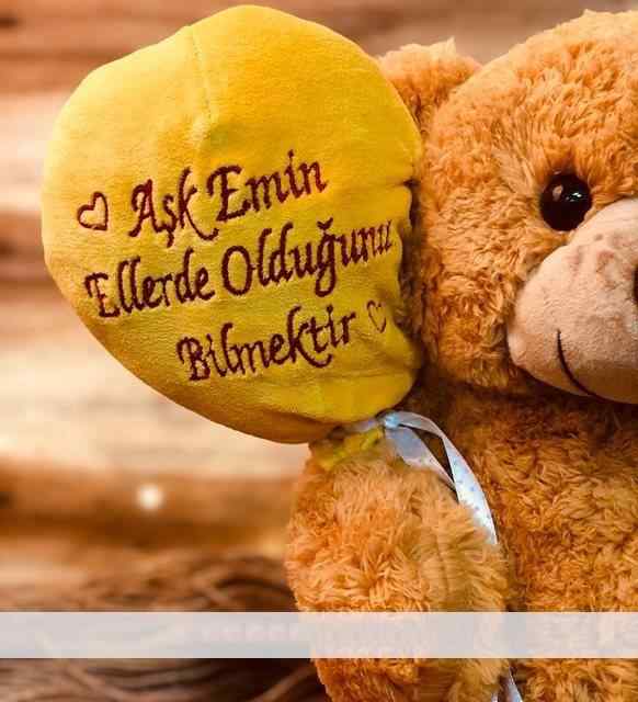 Ask Emin Ellerde Oldugunu Bilmektir Ask Sozleri Dolu Balonlu Ayicik Sevgiliye Hediye